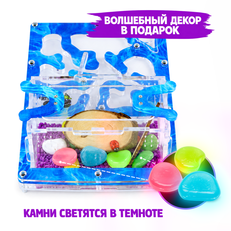 Муравьиная ферма Мини "Аква" (ПОЛНЫЙ КОМПЛЕКТ) Муравьиная ферма Мини "Аква" (ПОЛНЫЙ КОМПЛЕКТ)